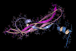 Alpha-2-Macroglobulin A2M