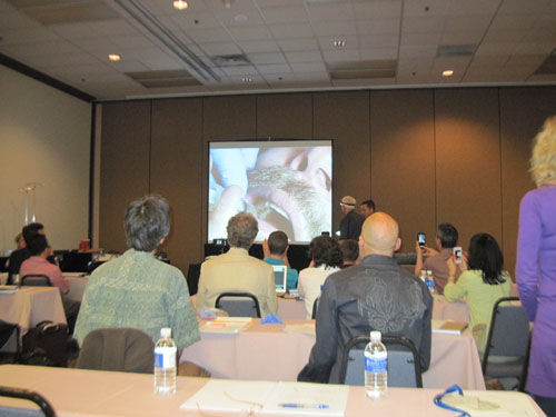 Dr. Fred Arnold at Ozone Therapy Course